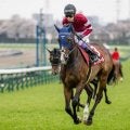 【関屋記念想定馬・騎手】ボンドガール、イミグラントソングなど17頭