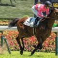【湯浜特別】半兄は重賞2勝のサクラトゥジュール サクラファレルが連勝なるか