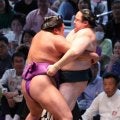 尊富士が右上腕付近を負傷か「大丈夫です」「なんともないです」と話したが…