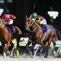【東海S想定馬・騎手】エートラックス、ビダーヤなど20頭