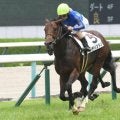 【今日の注目ポイント】マリーンSでレディントンがOP初勝利を狙う