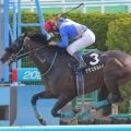 【マリーンS】前走大沼S組が好成績 人気薄でも狙いたい一戦