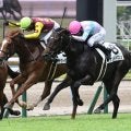【小倉5R新馬戦結果】ナムラドロンが接戦を制す ダノンスマッシュ産駒のJRA初勝利