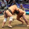 今場所で弓取り式は退き上戸に引き継ぎ