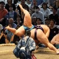 新入幕草野1敗守りV争いトップに並ぶ
