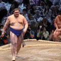 新横綱大の里が盤石の相撲で金峰山を下し１敗キープ「体の寄せ方がうまい」元横綱若乃花の花田氏