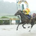 【佐賀・吉野ヶ里記念】ビキニボーイ、豪雨を突き抜け堂々V！飛田愛斗「勲さんの言葉で自信持てた」