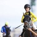 【函館12R】R.キング騎乗 マジカルフェアリーが快勝