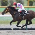 【マリーンS】ピュアキアンが脅威の粘り腰！オープン初勝利
