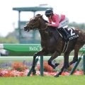 【湯浜特別】R.キング騎乗 サクラファレルが5馬身差完勝
