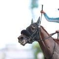 【函館6R】小林美駒騎乗 モリノアミーゴが9番人気の低評価を覆す