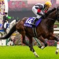 母はGI・2着3回のカレンブーケドール ハムタンが武豊騎手で初陣