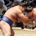 強すぎる玉鷲は人間なのか？「実はロボット…そんなことはありません」