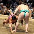 尊富士が右上腕部にテーピング　負傷にも取組への影響にも「大丈夫っす」