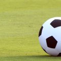 ワールドカップ招致 共催案に日本も