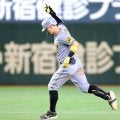 阪神・佐藤輝Ｖ弾！自己最多更新２５号「これ以上ない気持ち」　２位巨人の自力Ｖ消した！今季最大１０差