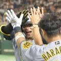 阪神　佐藤輝が自己最多本塁打数を更新できた理由　ドラフト同期、中野らが語る
