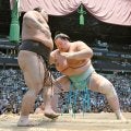 琴桜　持ち味復活で４連勝　祖父との縁深い伯「桜」鵬と初顔合わせで完勝星　一家得意の名古屋で状態上向き！夢の横綱へまい進