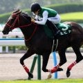 【小倉記念】ディープの血を引く馬が好調 狙い目の人気は？