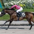 【福島テレビ賞】内枠が優勢か 伏兵でも注目したい血統とは