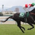【競馬予想】激しいレースが予想される小倉記念は、しぶとい脚を秘めた伏兵２頭に要注意