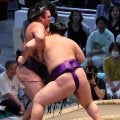 大青山　湘南乃海との１敗対決を制す「体が動いている」７勝１敗で勝ち越し王手