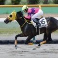 【函館2R】武豊ナリタヒカリが人気に応える