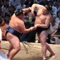 鉄人玉鷲が阿炎に完勝 勝ち越し王手