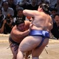 大の里が伯桜鵬に金星献上「また引いちゃったね」王鵬戦に続き引く悪癖出て２敗目