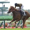 【潮騒特別】横山武史騎乗 モズナナスターVで、函館リーディング確定