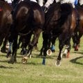 【小倉記念】竹内涼真が表彰式プレゼンターに登場…7年ぶりの小倉で夏競馬を満喫