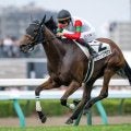 クイーンS予想　メンバーに恵まれた