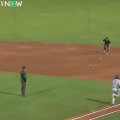 ウソでしょ…！？ 大谷翔平、バット破壊して“異常事態”「めっちゃ怖い」とんでもない所まで飛ばしてまう「怪力すぎる」