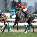 【クイーンS予想】秋に飛躍誓う女王候補が集う 基本的には先行馬有利の舞台設定