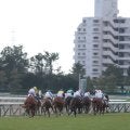 【中京3R新馬戦結果】ルヴァンスレーヴ産駒ラエトゥスが競り合いを制す