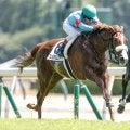 【新潟4R新馬戦結果】アーモンドアイの仔プロメサアルムンドがC.ルメール騎手とのコンビでV！