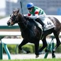 【札幌5R新馬戦結果】リオンディーズ産駒クレパスキュラーがレコードで圧勝