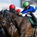 【JRA・WIN5】本日のWIN5は的中94票、配当544万6900円