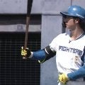 日本ハム・淺間が2安打1打点の活躍　福谷が2回無失点…3日のパ・リーグ2軍