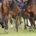 小崎綾也騎手が騎乗停止