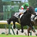 3歳馬によるダート重賞レパードSなど3重賞/今週の競馬界の見どころ