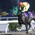 【高知・黒潮菊花賞】園田のラピドフィオーレが圧巻6馬身差V！地方交流初開催を制す