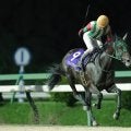【盛岡・ひまわり賞】ミナトミナイトが完勝！精神面の成長で4馬身差圧勝