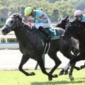 【CBC賞登録馬】3連勝中ヤマニンアルリフラなど19頭
