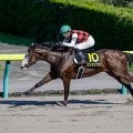 ケンシンコウの新潟重賞制覇から5年 7番人気で勝利した20年レパードS