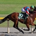 第1回覇者トランセンドは2位 レパードSの勝ち時計ランキング
