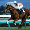 【AI予想・CBC賞】ハンデ戦らしく難解なスプリント重賞！ 前走に見どころのあった人工知能の本命候補