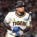 阪神はヘルナンデスがDH候補か