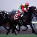 キングマンボ×サドラーズウェルズの最初の成功例 JRA顕彰馬にも選出された名馬「エルコンドルパサー」