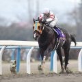 GI級・10勝ホッコータルマエの活躍はここから 初重賞制覇を果たしたレパードＳ